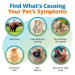 5Strands Pet Food Intolerance Test, at Home Sensitivity Test for Dogs & Cats, 575 Items Tested, Hair Analysis, Accurate for All Ages & Breeds, Pet Gut Health, Results in 4 Days