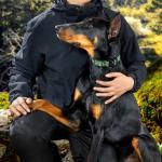 PawsPassion Dog Collars for Large Dogs, Heavy Duty Tactical Dog Collar with Metal Buckle, Durable Pet Collar Quick Release, Reinforced Nylon No Pull Dog Collar (Evergreen, L)