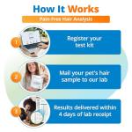 5Strands Pet Food Intolerance Test, at Home Sensitivity Test for Dogs & Cats, 575 Items Tested, Hair Analysis, Accurate for All Ages & Breeds, Pet Gut Health, Results in 4 Days