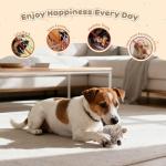 Pawaboo Plush Dog Toy, [2PACK] Non-Toxic Super Soft Faux-Fur Hedgehog Dog Toy Stuffed Biting Training Playing Toys for Dog Puppy, Brown