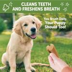 WHIMZEES Wellness Puppy Dog Dental Treats, Extra Small & Small Size Stick, (30 Count)