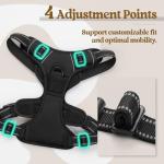 No-Pull Adjustable Dog Harness with Leash Clips