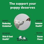 Vitamin E for Dogs - Vitamin E Dog - Vitamin E for Dog - Dog Vitamins E - Vitamin E Canine - Vitamin E Supplement for Dogs - Vitamin E Oil Dog - Dog Vitamins - Dog Immune Support - 1 fl oz