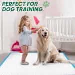 100 Count Large Dog & Cat Puppy Pee Pads - 28"x30" Absorbent Potty Training Pads | Leakproof Quick-Dry Disposable Pet Pads for Puppies, Dogs & Cats | Indoor, Outdoor, Litter Box, Housebreaking Use