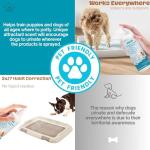 Dog Potty Training Spray,Puppy & Adult Dog Pee Training Spray, Indoor/Outdoor Training Proper Dog Pee Here Habits and Go to The Toilet in The Right Place, Safe & Effective Solution for Pets,100ML