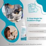 Dog Potty Training Spray,Puppy & Adult Dog Pee Training Spray, Indoor/Outdoor Training Proper Dog Pee Here Habits and Go to The Toilet in The Right Place, Safe & Effective Solution for Pets,100ML