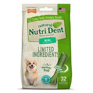 Nylabone Nutri Dent Dog Dental Chews - Natural Dog Teeth Cleaning & Breath Freshener - Dental Treats for Dogs - Fresh Breath Flavor, Mini (32 Count)