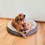 LotFancy Dog Stuffed Animals Plush, 21" Soft Cuddly Golden Retriever Plush Toys, Large Stuffed Dog, Puppy Dog Stuffed Animals, Birthday Gift for Kids Girls Boys