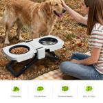 Elevated Dog Bowls Stand, Portable Travel Dog Bowls with Collapsible Silicone Double Diner Bowl, 5 Cups Capacity Food and Water Bowl with No Spill Edge Non-Slip Stand,Ideal for Medium & Large Dogs