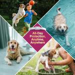 Natural Flea and Tick Collar for Dogs, 4 Pack, 8 Months Long-Lasting Protection, Waterproof, Adjustable Size for Small Medium and Large Dog