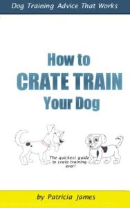Effective Crate Training for Your Dog