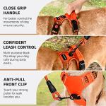 No Pull Dog Harness with Leash and Handle