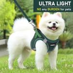 Soft Mesh Step-In Harness, Collar & Leash Set