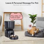 Automatic Feeder and Water Dispenser for Pets