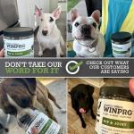 WINPRO Joint Health Soft Chews for Dogs