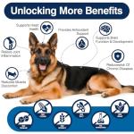 Omega 3 Chews for Healthy Skin and Coat