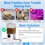 Automatic Pet Feeder with App Control for 2 Pets