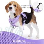 Jolifield Reflective No Pull Dog Harness Set