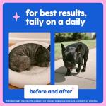 Taily Liquid Collagen for Healthy Skin & Coat