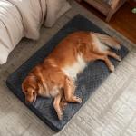 JOEJOY XL Orthopedic Dog Bed with Removable Cover