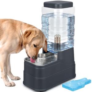 2.2 Gallon Automatic Dog Water Dispenser with Bowl