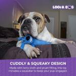 Multipet Loofa Plush Dog Toy - Squeaky Fun