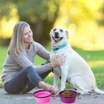 Collapsible Dog Bowls with Lids - 2 Pack