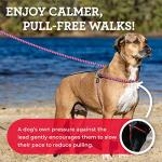 No Pull Dog Harness and Leash Set for All Sizes