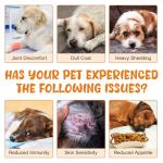 Liquid Collagen Drops for Dog Joints and Coat