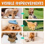 Liquid Collagen Drops for Dog Joints and Coat