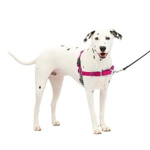 PetSafe Easy Walk No-Pull Dog Harness, Medium/Large