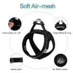 Lightweight Reflective Dog Harness and Leash Set