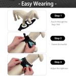 Lightweight Reflective Dog Harness and Leash Set