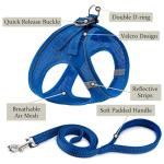 Dog Harness and Leash Set - No Pull, Reflective