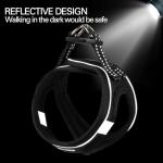 Lightweight Reflective Dog Harness and Leash Set
