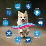 Natural Dog Vitamins Powder for Gut & Joint Health