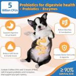 ZEBORA Dog Multivitamin Powder for Healthy Pets