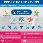 Natural Dog Vitamins Powder for Gut & Joint Health