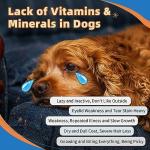 ZEBORA Dog Multivitamin Powder for Healthy Pets