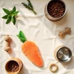 Crinkle Carrot Squeaky Toy for All Dog Sizes