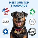 Omega 3 Fish Oil Chews for Dogs' Skin Health