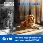 Omega 3 Fish Oil Chews for Dogs' Skin Health