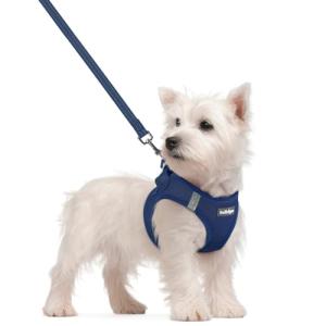 Rabbitgoo Small Dog Harness and Leash Set