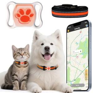 Real-Time GPS Tracker for Dogs and Cats