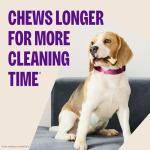 WHIMZEES Dental Treats for Dogs, Extra Small