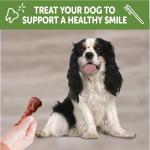 Whimzees Small Dental Treats Stick, 24 Count