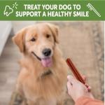 WHIMZEES Dental Treats for Dogs, Extra Small