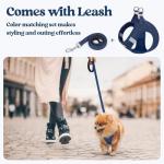 Rabbitgoo Small Dog Harness and Leash Set
