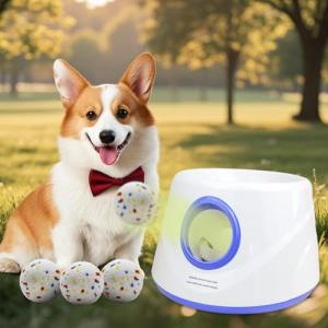 Automatic Dog Ball Launcher for Small Dogs