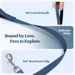 Rabbitgoo Small Dog Harness and Leash Set